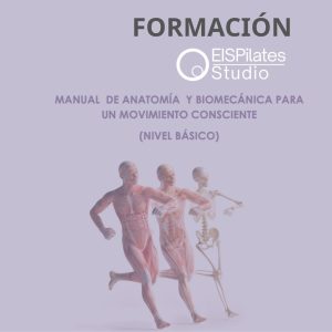Manual de Anatomía y Biomecánica para un Movimiento Consciente
